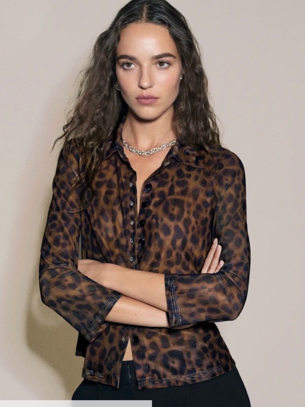 Reformation Sheer Lepord Button Up